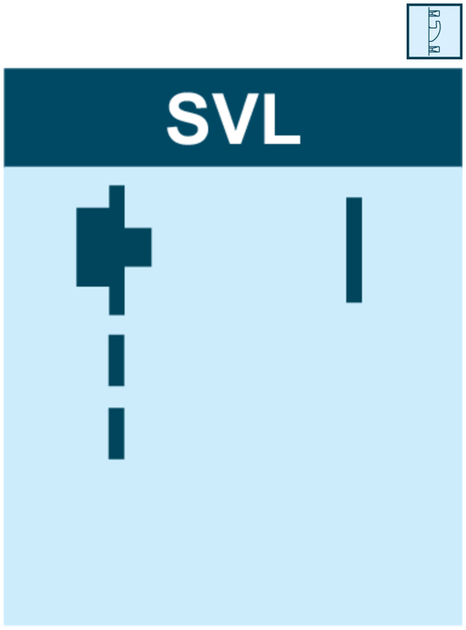 SVL, T-Shirt?, Label?, Tag?, IDK