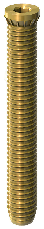 schraube, Maschinenschraube, goldfarbig, Gewindestange, Bolzen-ähnlich