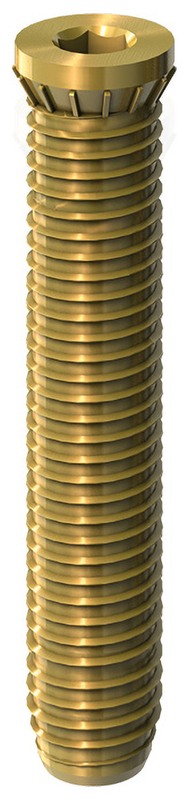 golden screw, Maschinenschraube, Gewindestift, Goldton, Zylinderschraube