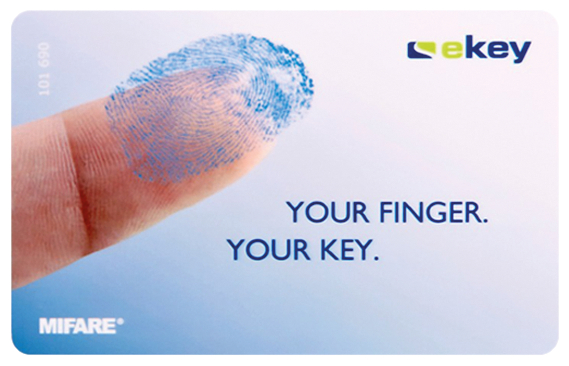 fingerprint, biometrisch, Fingerabdruck, Schutz, Schlüsselkarte