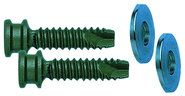 Schraubenslot, Holzschraube, Gewinde-Fastener, Schlitz-/Torx-Spitze, Unterlegscheiben-ähnlich